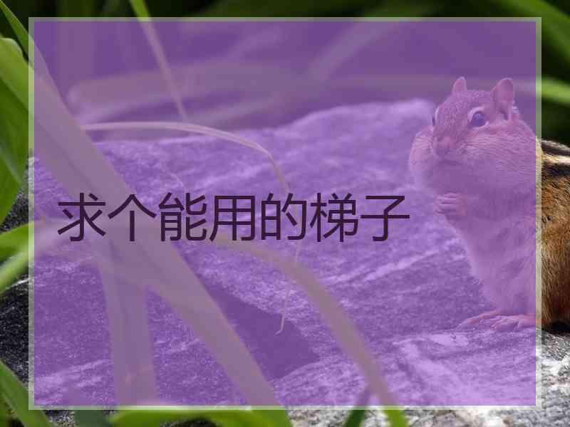 求个能用的梯子