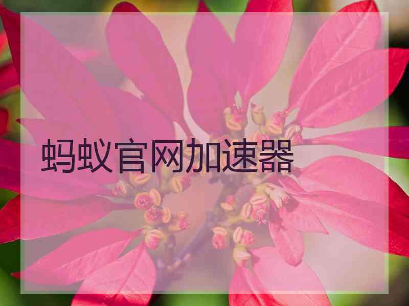 蚂蚁官网加速器