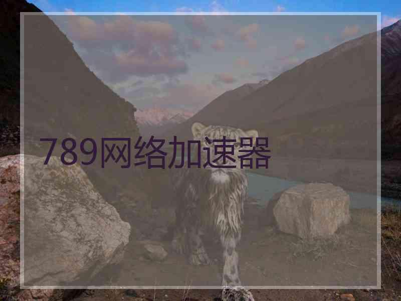 789网络加速器
