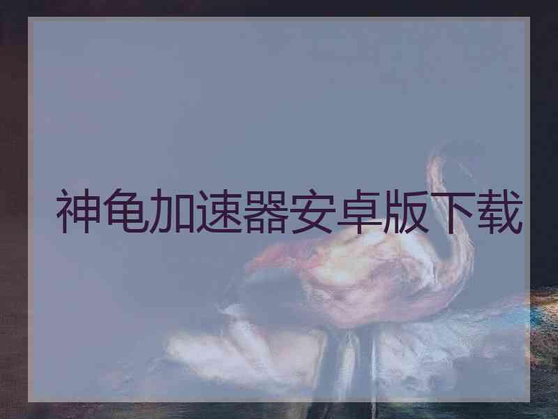 神龟加速器安卓版下载