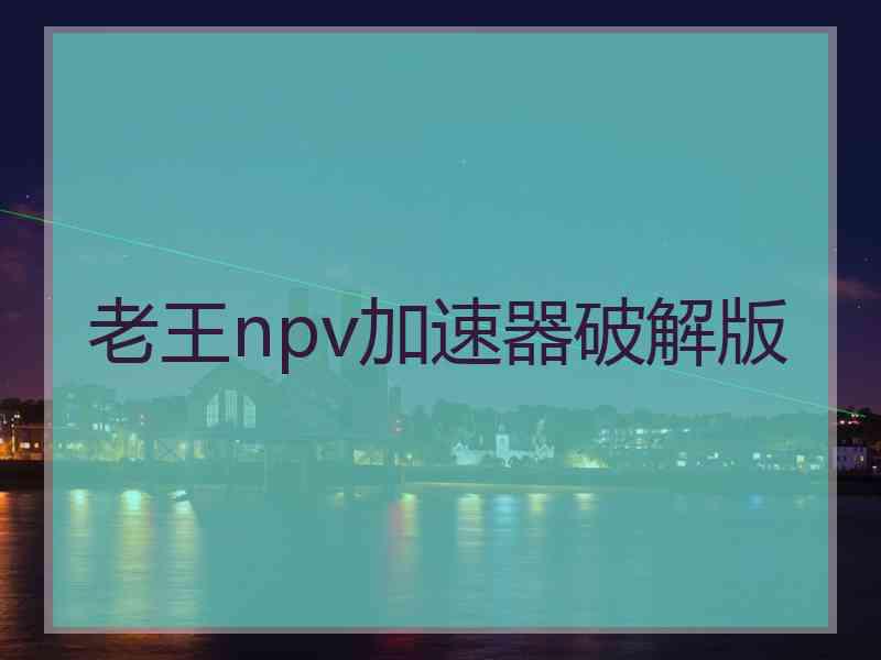老王npv加速器破解版
