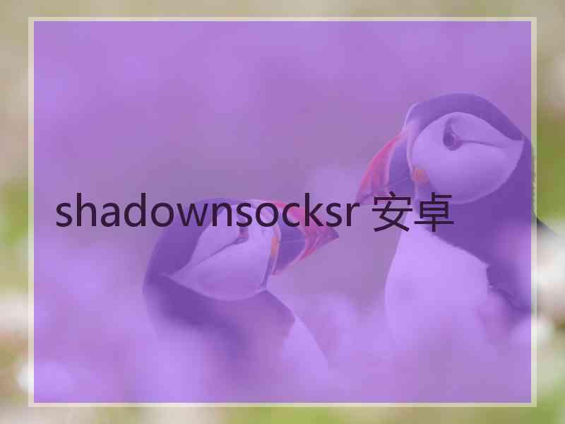 shadownsocksr 安卓