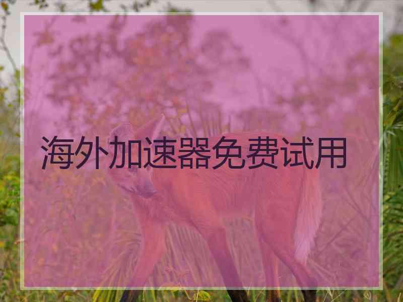 海外加速器免费试用