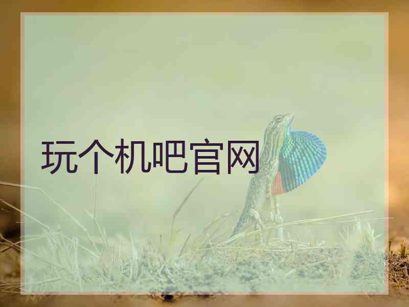 玩个机吧官网