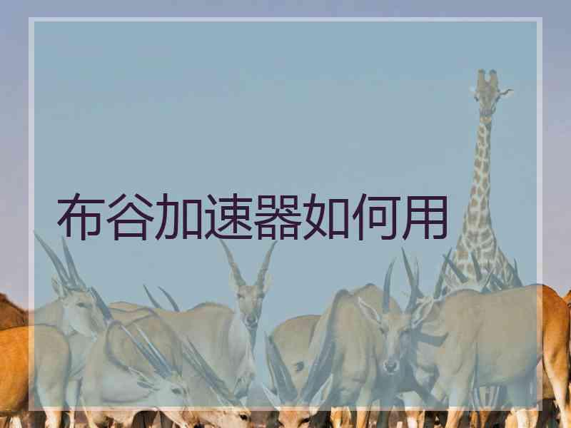 布谷加速器如何用
