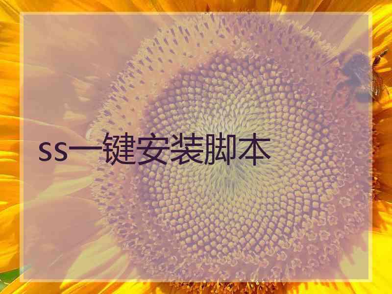 ss一键安装脚本