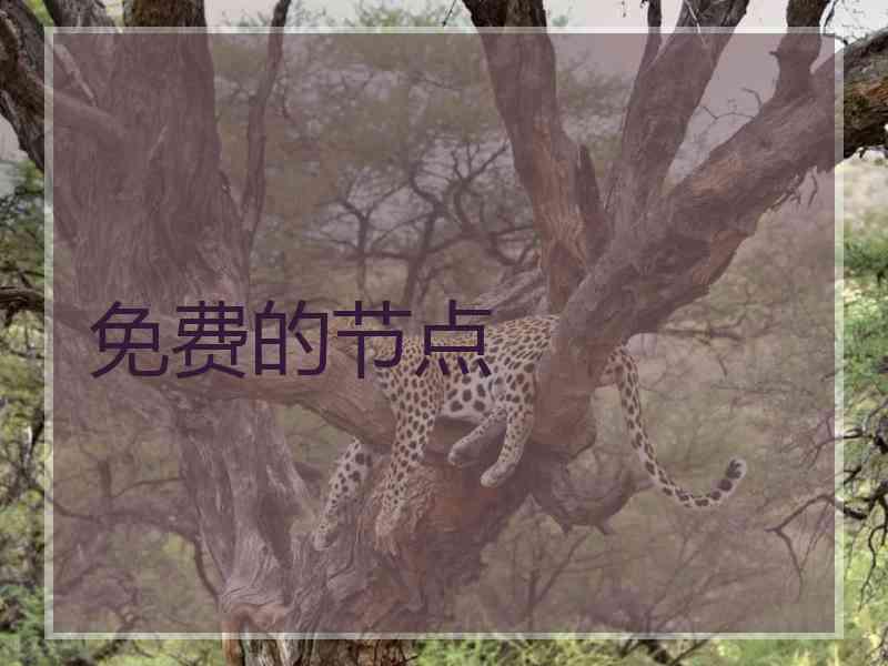 免费的节点