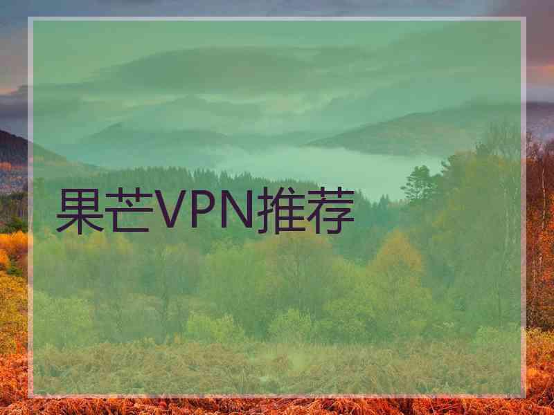 果芒VPN推荐