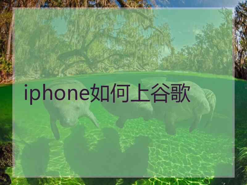 iphone如何上谷歌