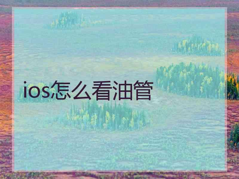ios怎么看油管