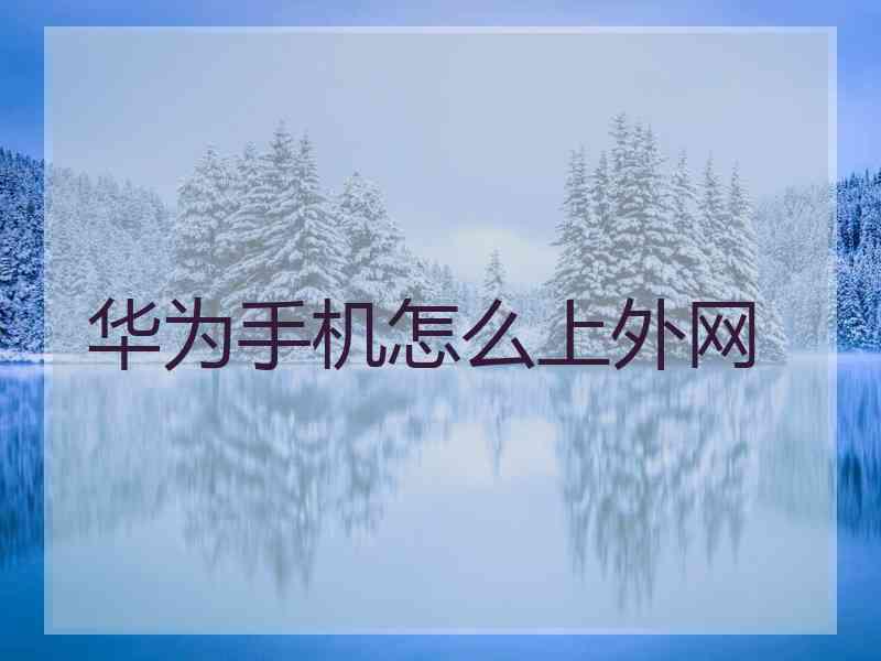 华为手机怎么上外网
