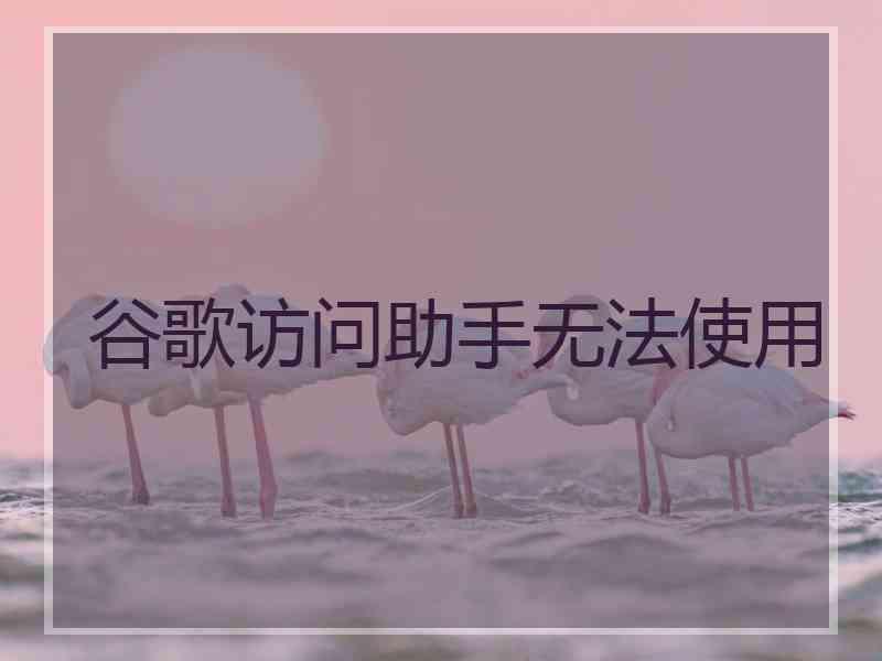 谷歌访问助手无法使用