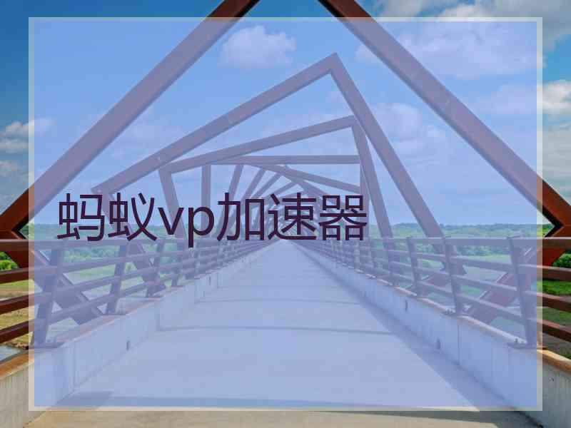 蚂蚁vp加速器
