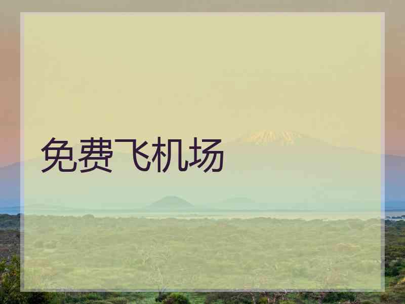 免费飞机场
