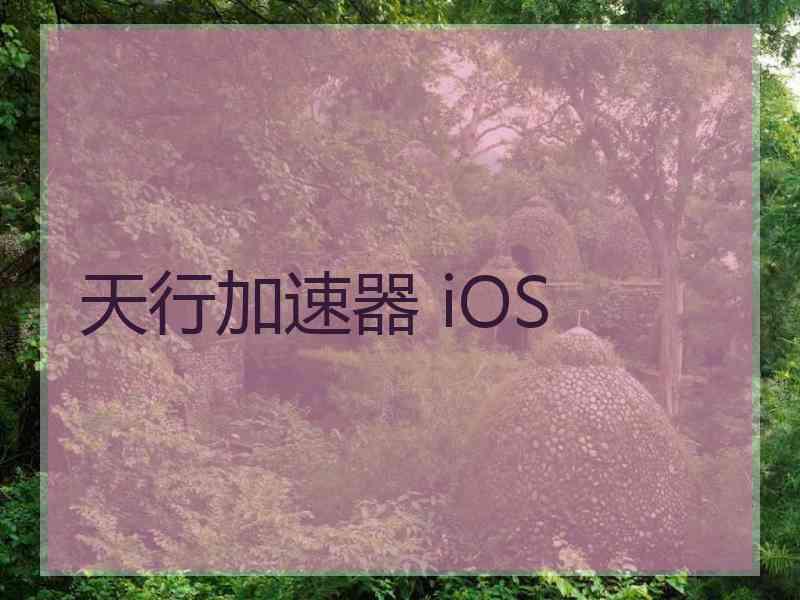 天行加速器 iOS