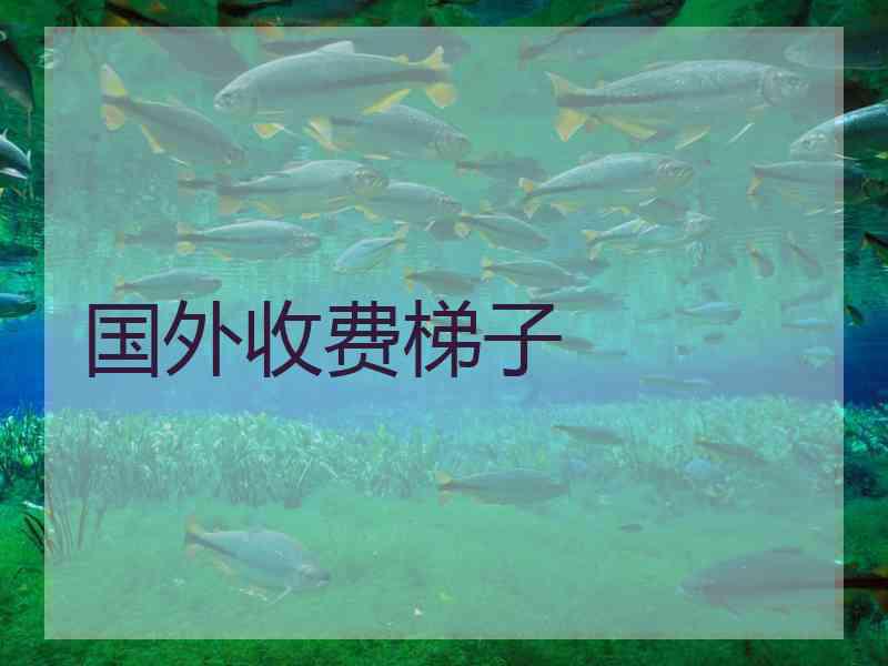 国外收费梯子