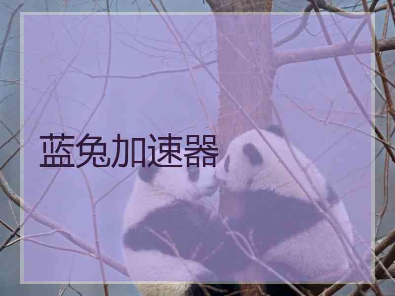 蓝兔加速器