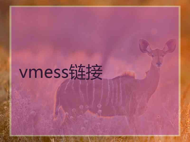 vmess链接