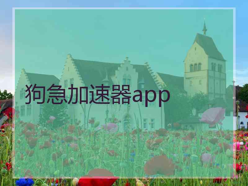 狗急加速器app