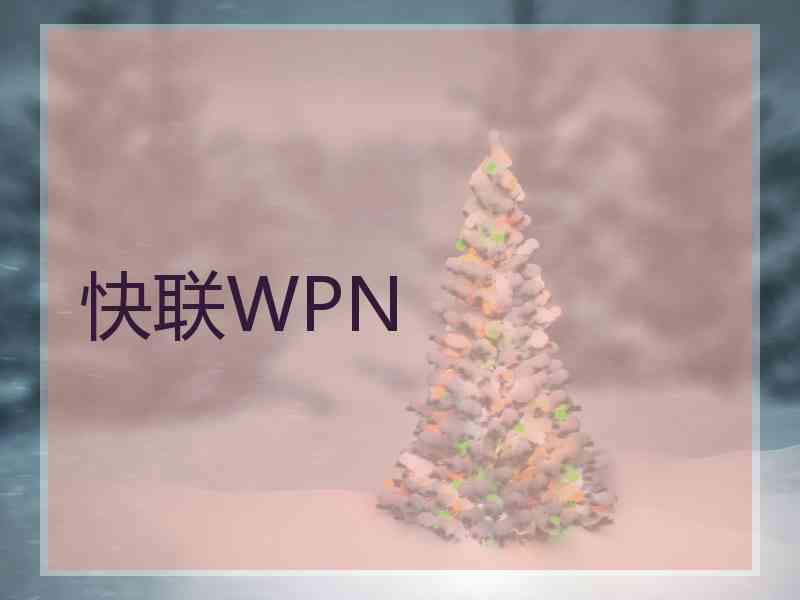 快联WPN
