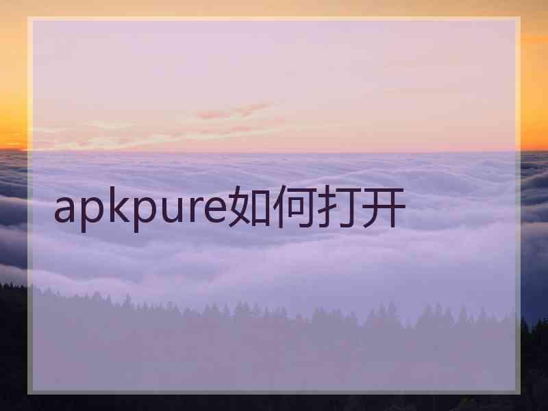 apkpure如何打开