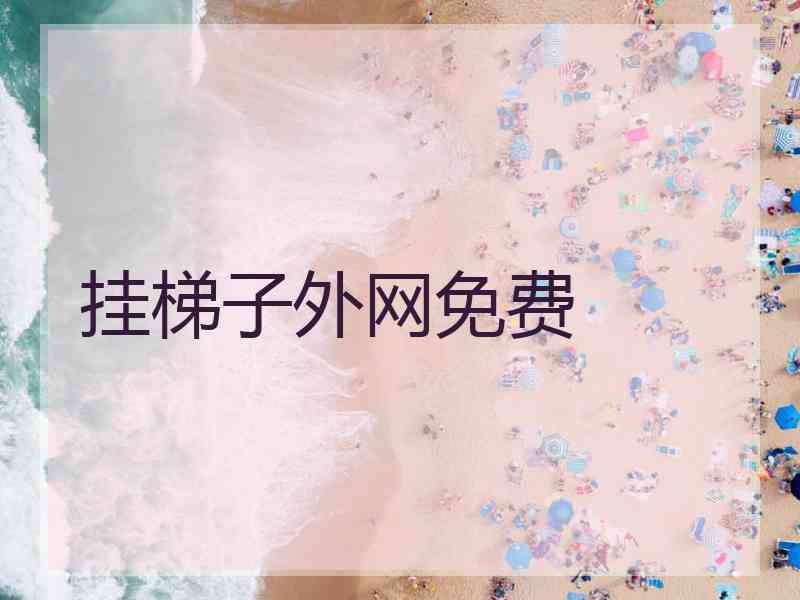 挂梯子外网免费