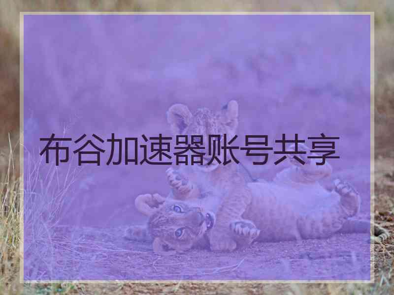 布谷加速器账号共享