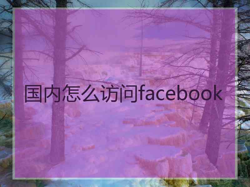 国内怎么访问facebook