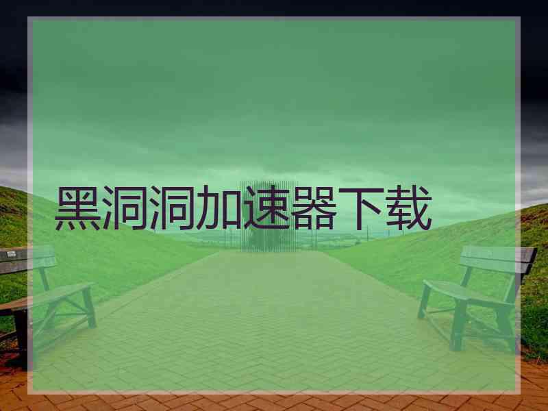 黑洞洞加速器下载