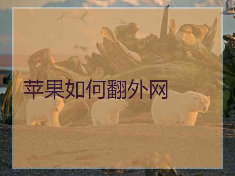 苹果如何翻外网