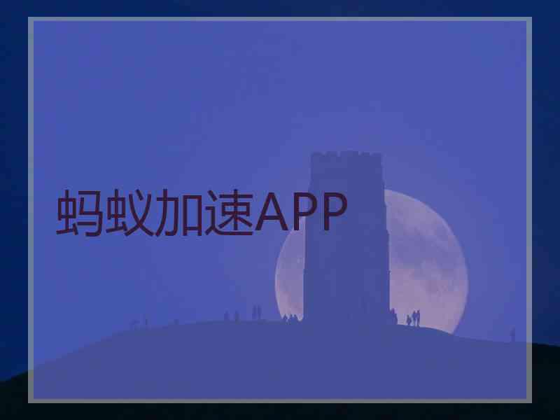 蚂蚁加速APP