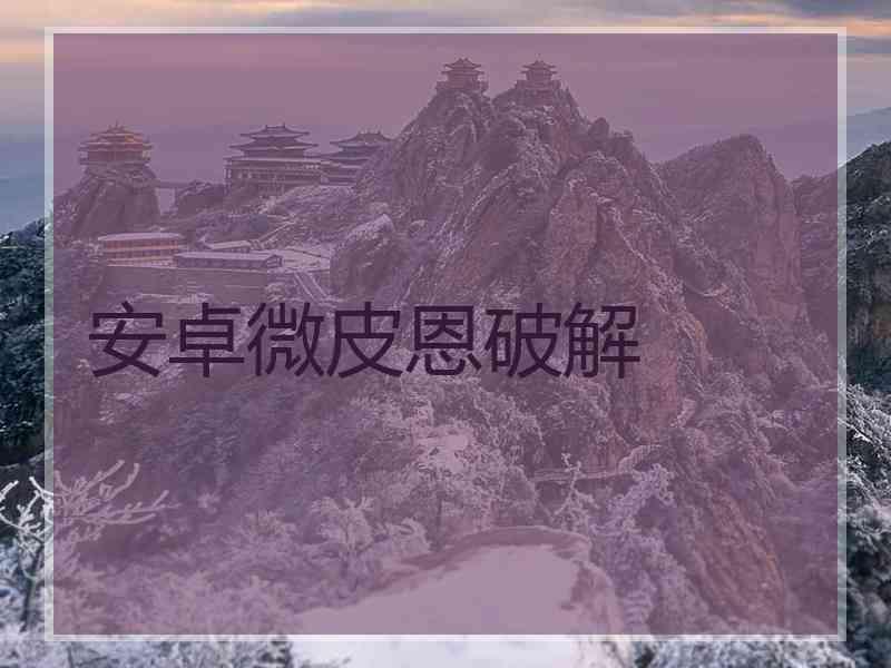 安卓微皮恩破解