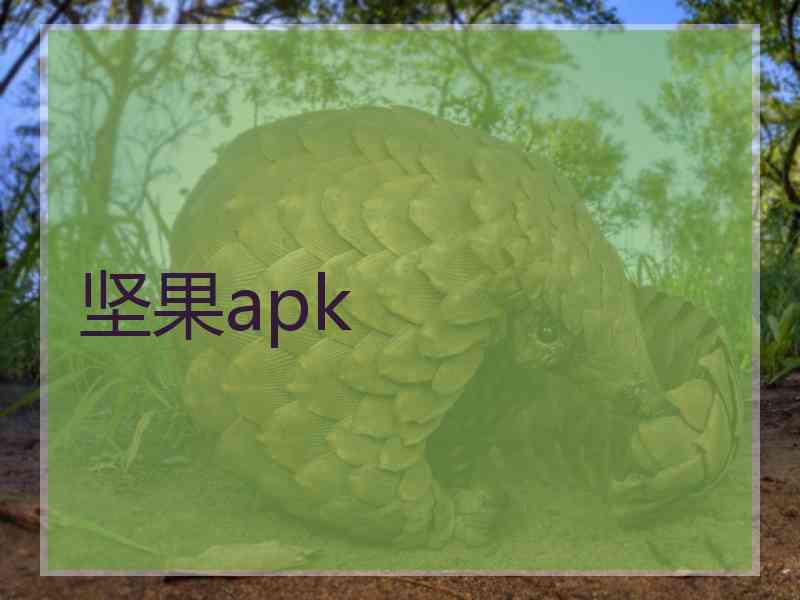 坚果apk