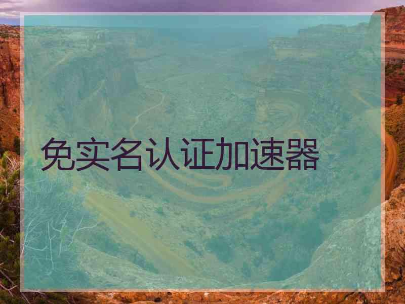 免实名认证加速器
