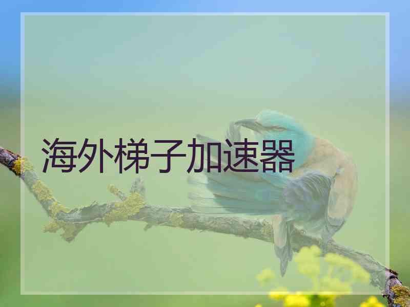 海外梯子加速器