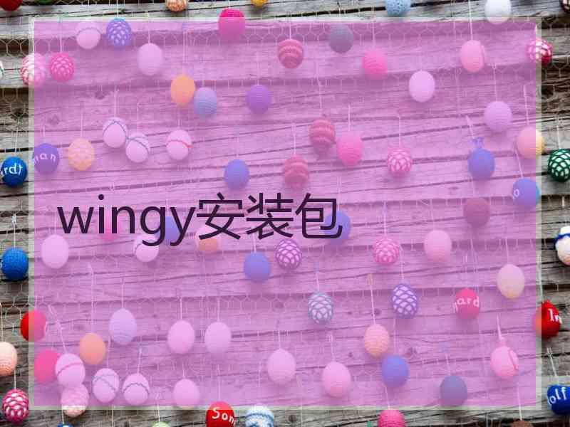 wingy安装包