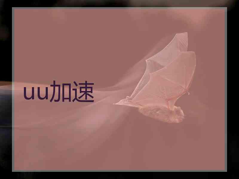 uu加速