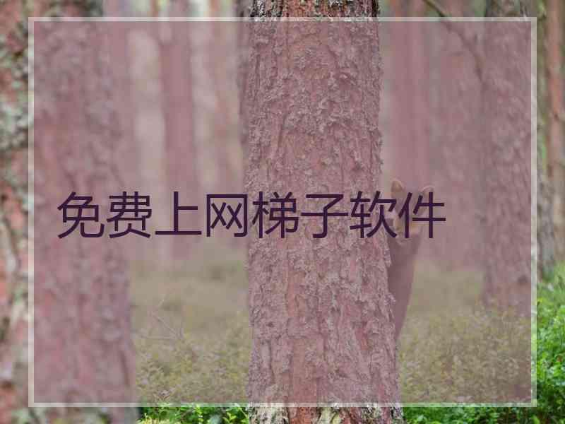 免费上网梯子软件