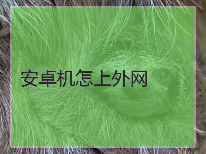 安卓机怎上外网
