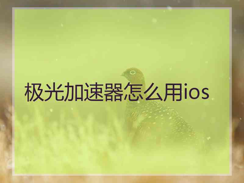 极光加速器怎么用ios