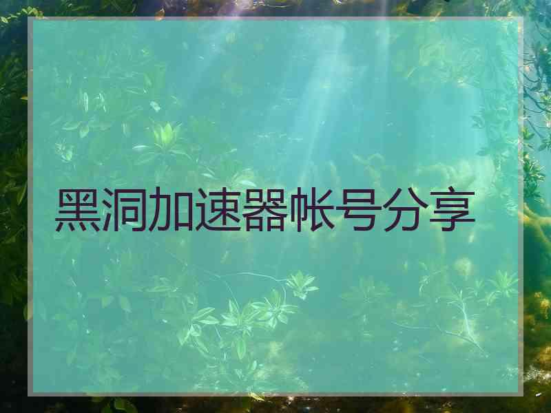 黑洞加速器帐号分享
