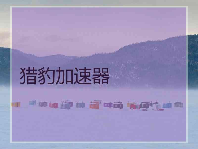 猎豹加速器