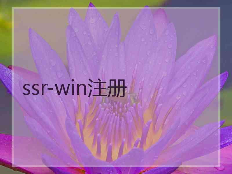 ssr-win注册