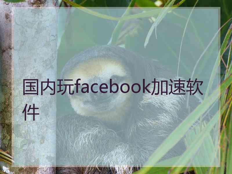 国内玩facebook加速软件