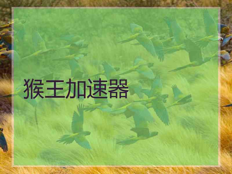 猴王加速器