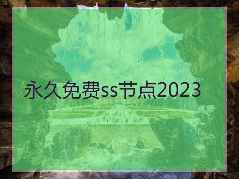 永久免费ss节点2023