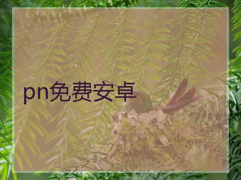 pn免费安卓