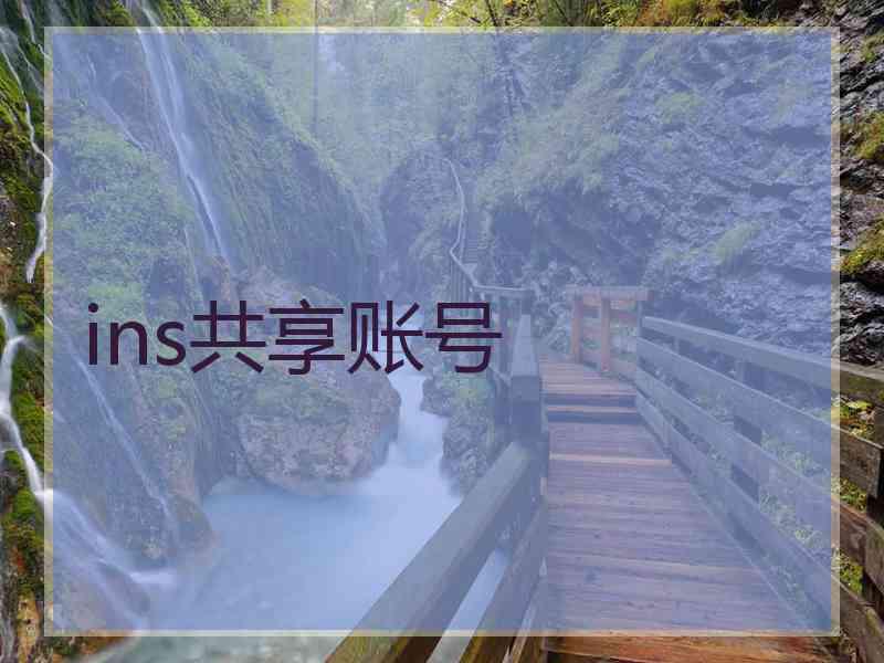 ins共享账号
