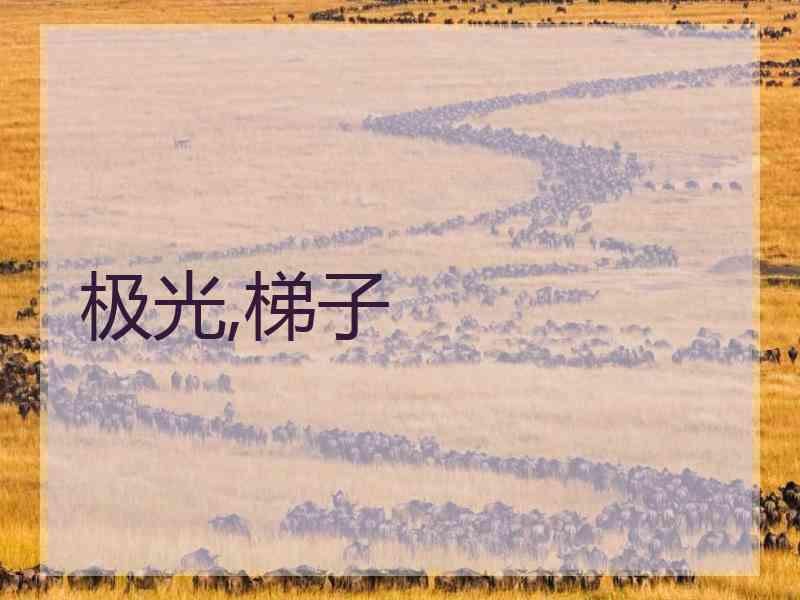 极光,梯子