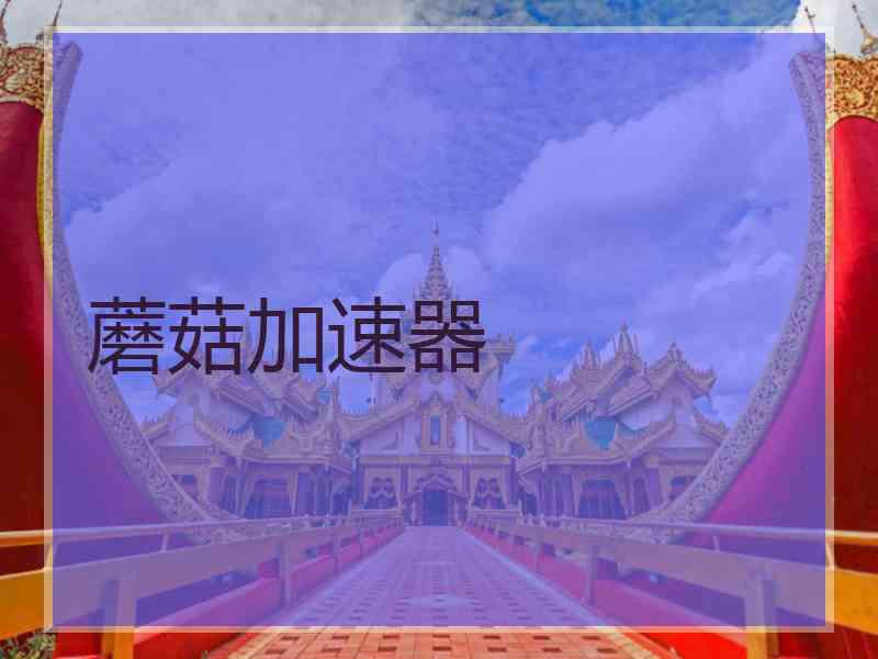 蘑菇加速器